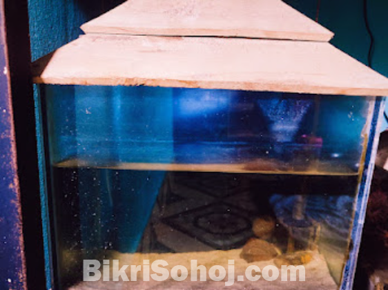 Aquarium Sell